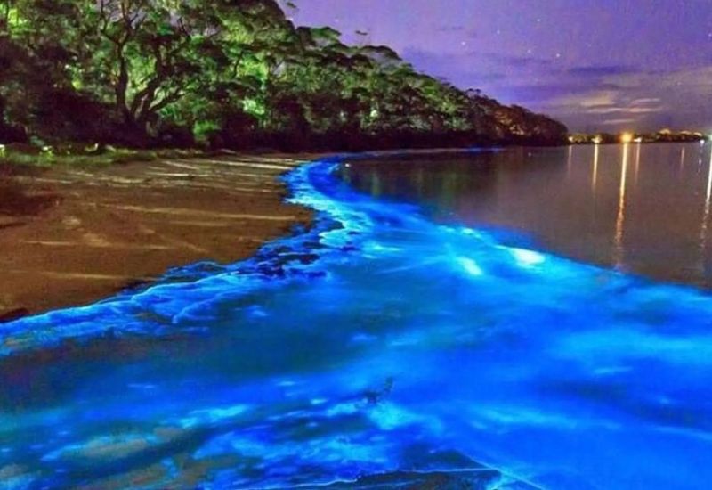 Luminous Lagoon Tour